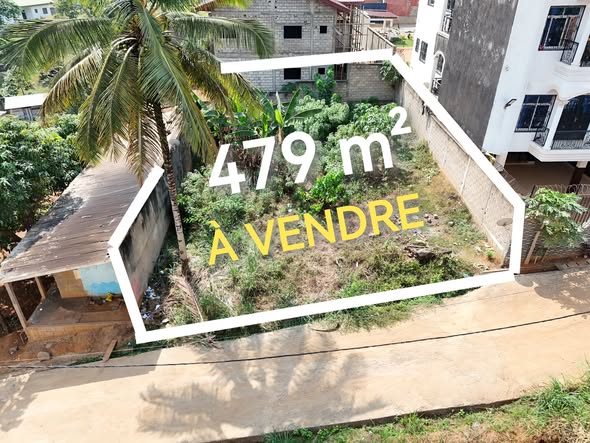 Terrain titré à vendre à Ngousso