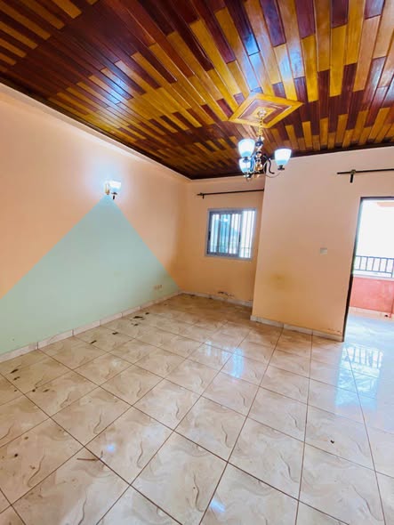3 studios modernes à louer