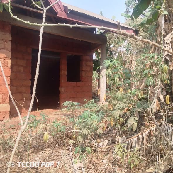 Terrain à vendre à Bafoussam