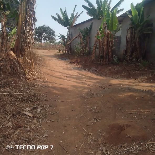 Terrain à vendre à Bafoussam