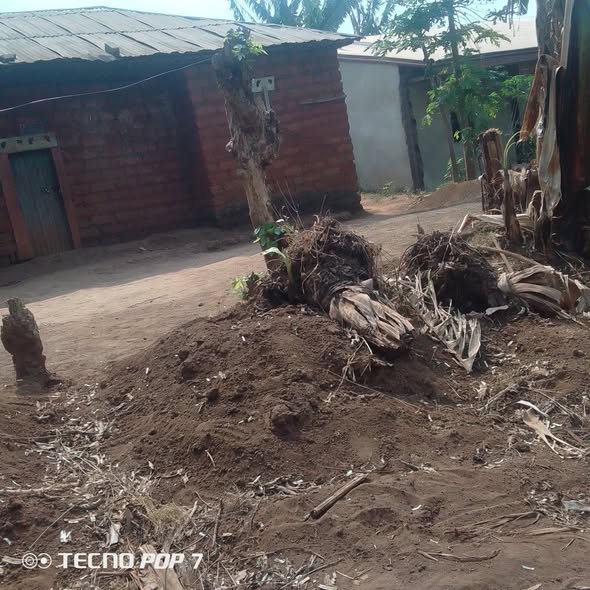 Terrain à vendre à Bafoussam