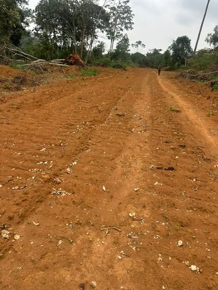 3 hectares de terrain titré à vendre à Ékekam3