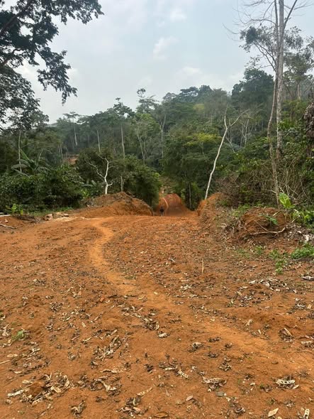 3 hectares de terrain titré à vendre à Ékekam3