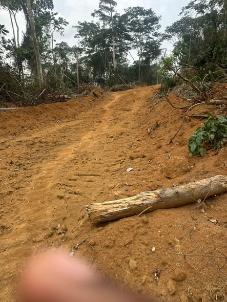 3 hectares de terrain titré à vendre à Ékekam3