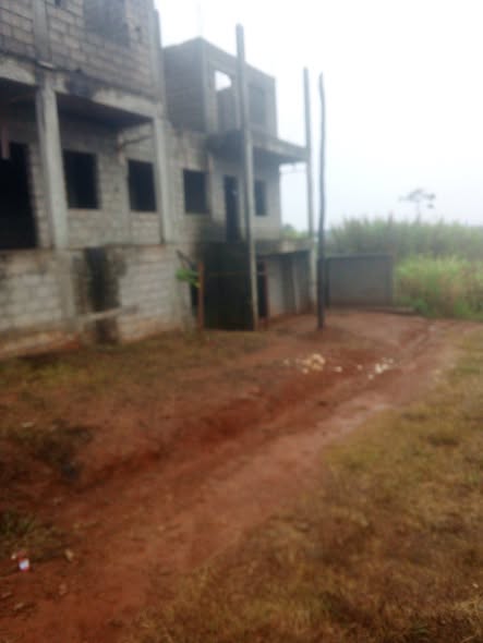 Terrain titré lotis à vendre sur l'axe Yaoundé Mfou