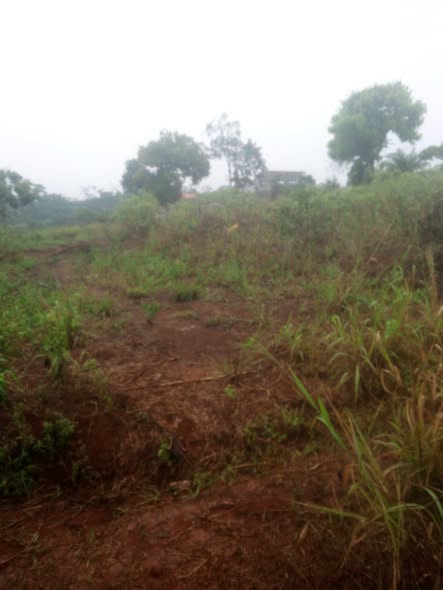 Terrain titré lotis à vendre sur l'axe Yaoundé Mfou
