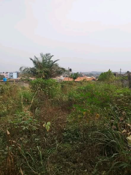 Terrain titré à Yaoundé Nkoabang