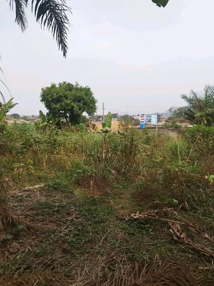 Terrain titré à Yaoundé Nkoabang