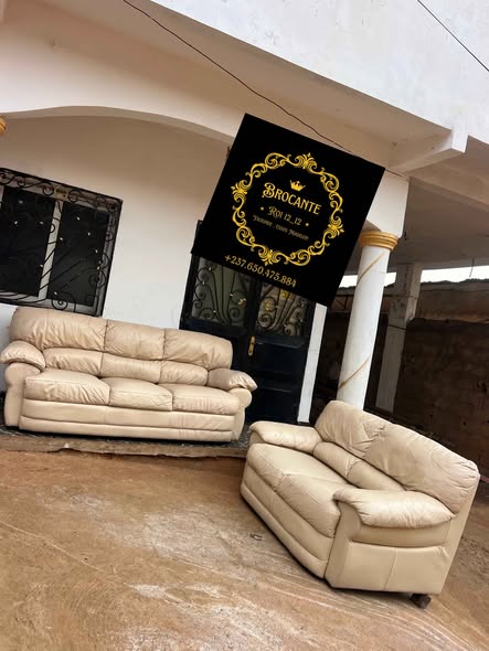 Manifique salon 05 places en cuir