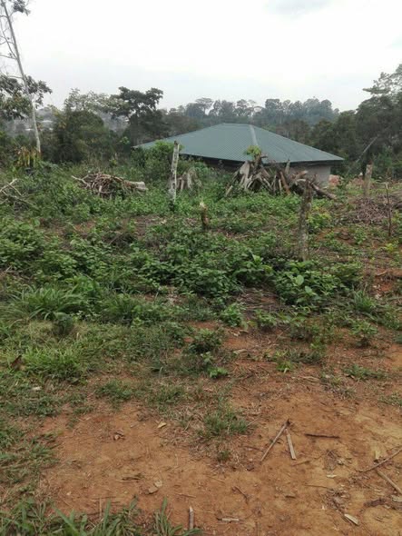 Terrain titré à vendre à Yaoundé