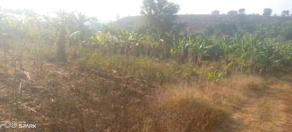 Terrain à vendre à Bafoussam3 Quartier WOUNG