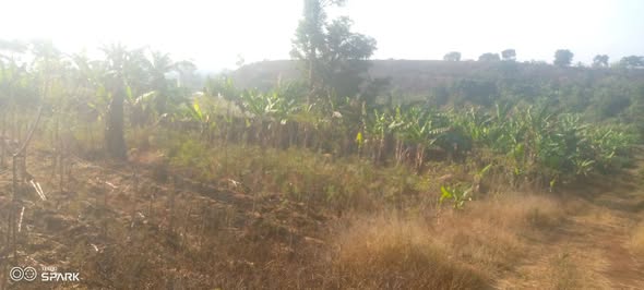 Terrain à vendre à Bafoussam3 Quartier WOUNG