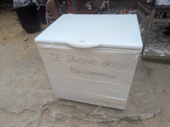 Canapé 6 places et autres meubles à vendre