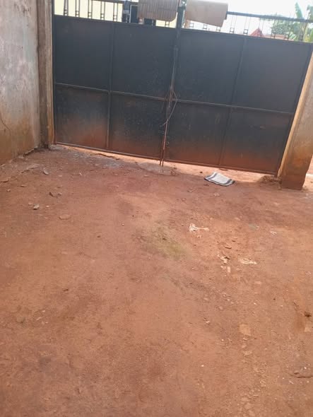 Appartement moderne à louer à Bafoussam