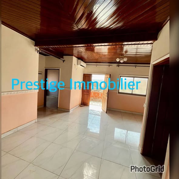 Appartement haut standing à louer à Yaoundé