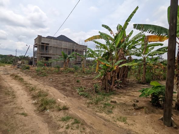 Terrain à vendre à Yassa – Centrale Thermique