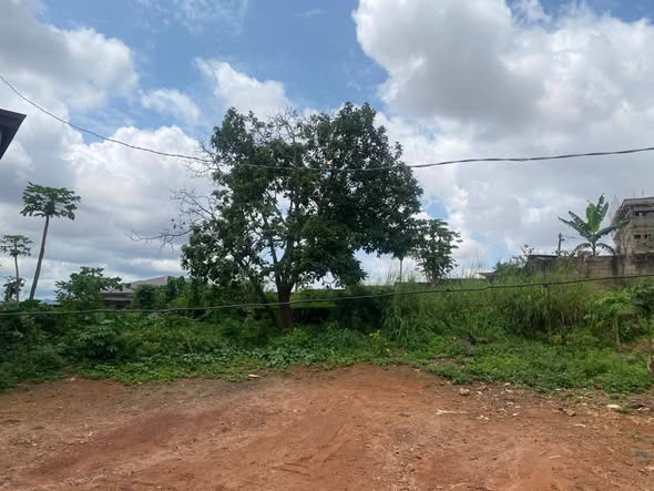 Terrain titré à vendre à Odza, Yaoundé