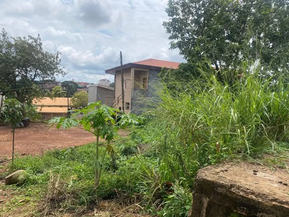 Terrain titré à vendre à Odza, Yaoundé