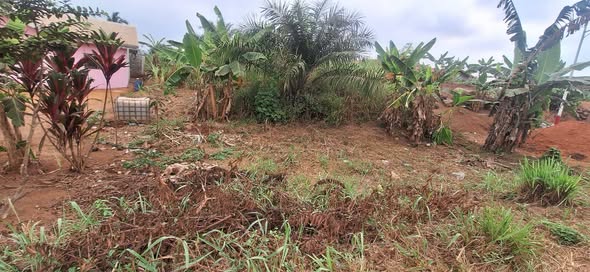 Terrain commercial à vendre à Nkouabang