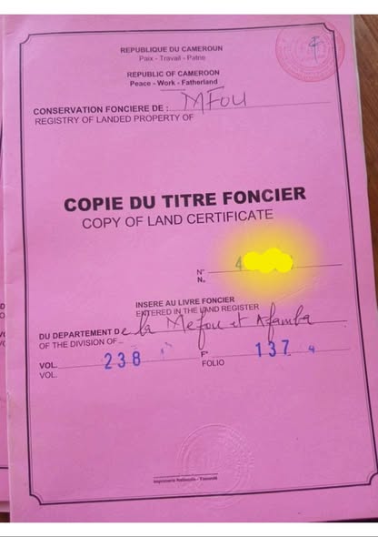 Investissez dans le foncier en toute sécurité