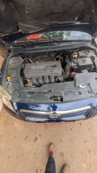 Toyota tête de cochon à vendre