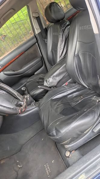 Toyota tête de cochon à vendre
