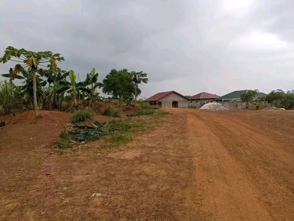 Offre spéciale terrain à vendre à Zalom