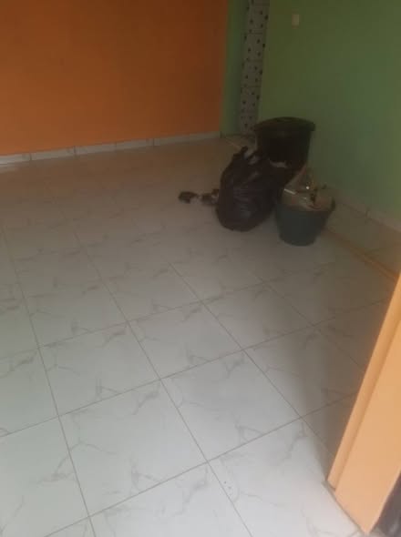 Chambres, studios et appartements à louer à Nkoabang
