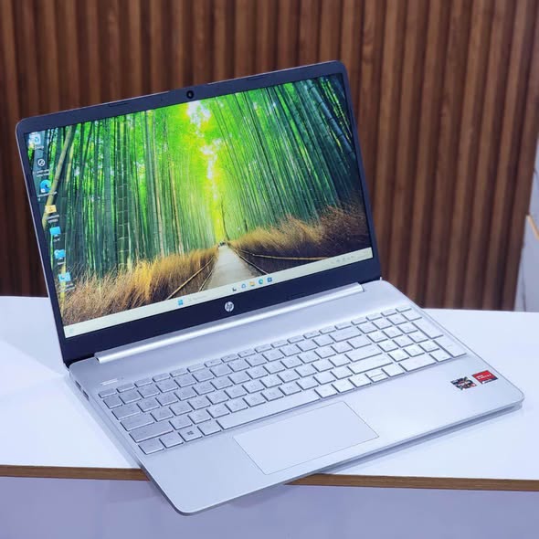 Hp Laptop 15-ef1 Ryzen 3 10th Génération