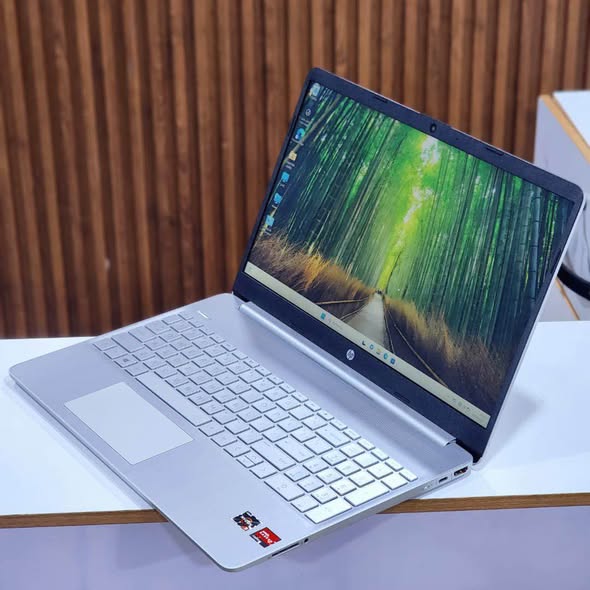 Hp Laptop 15-ef1 Ryzen 3 10th Génération