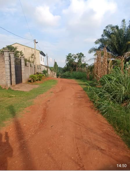 Terrain à vendre à Yaoundé