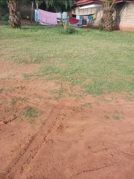 Terrain à vendre à Yaoundé