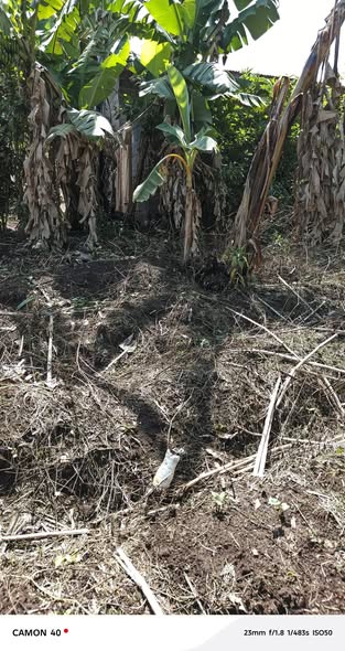 Terrain de 200 m² à vendre à Bafoussam