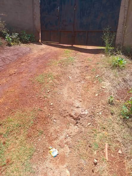 Appartement moderne à louer à Bafoussam