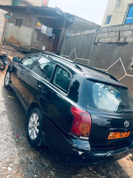 Toyota Avensis tête de cochon