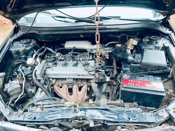 Toyota Avensis tête de cochon