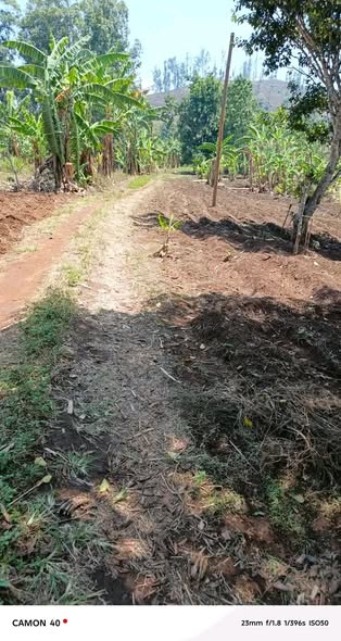 Terrain à vendre à Bafoussam