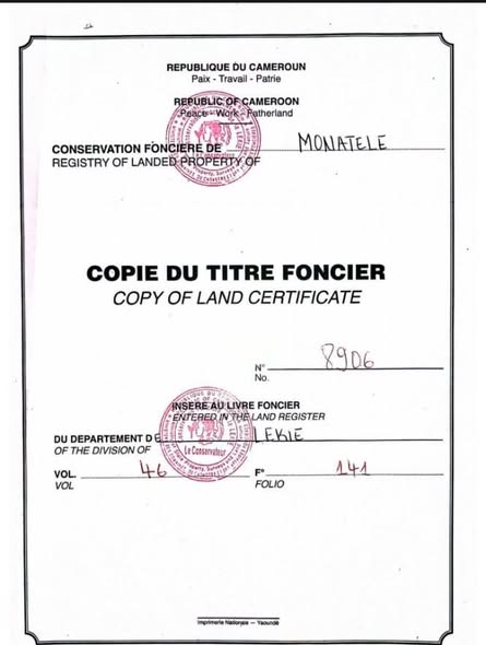 Terrain à vendre à Nkometou3