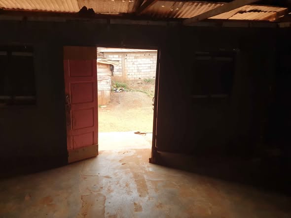 House for rent