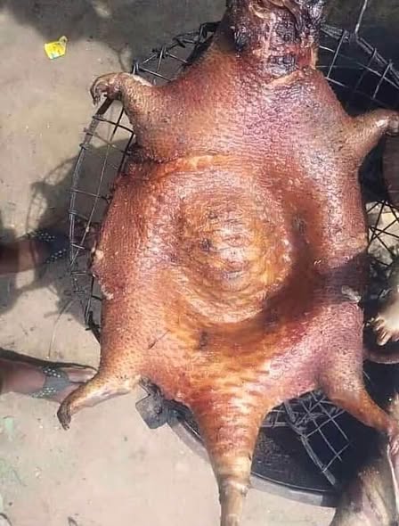 Viande de brousse à LOGPOM