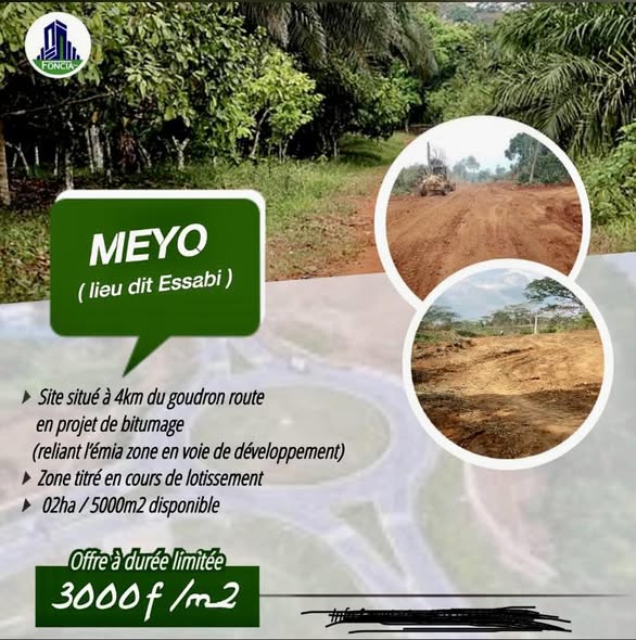 Terrain titré et loti à vendre au club Foe