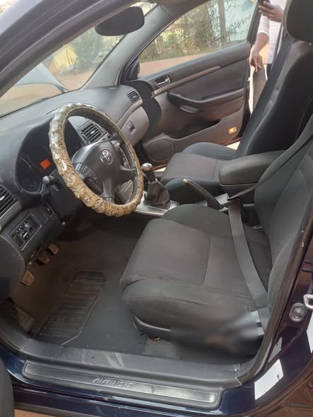 TOYOTA TÊTE DE COCHON LEAFTBAC