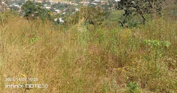 Cheap Land for Sale in Bamenda