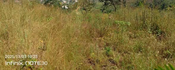 Cheap Land for Sale in Bamenda