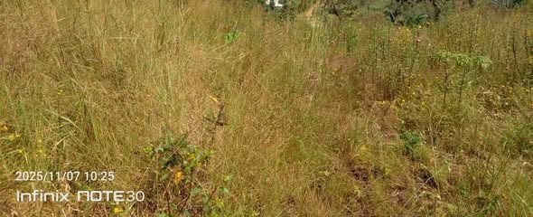 Cheap Land for Sale in Bamenda