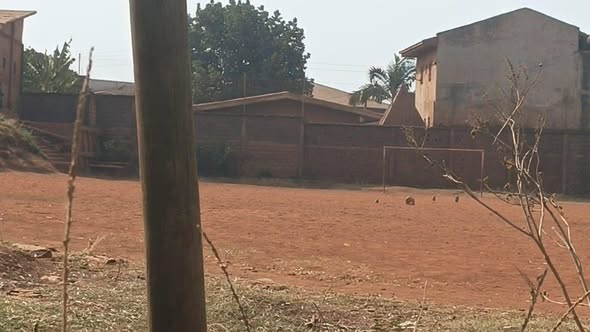 Terrain à vendre à Bafoussam