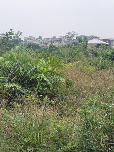 URGENT – TERRAIN À VENDRE À KOTTO