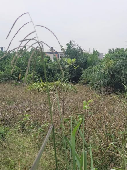 URGENT – TERRAIN À VENDRE À KOTTO