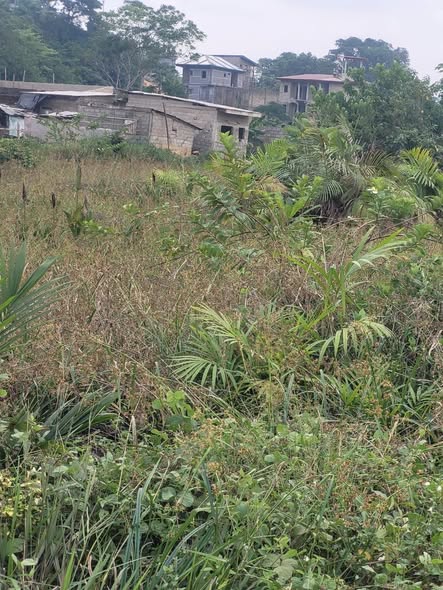 URGENT – TERRAIN À VENDRE À KOTTO