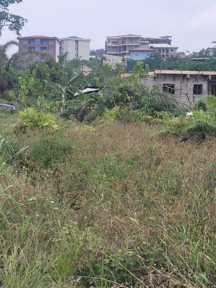 URGENT – TERRAIN À VENDRE À KOTTO